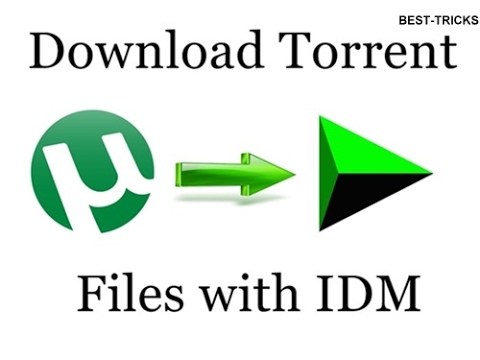 Internet Download Manager Vs Utorrent